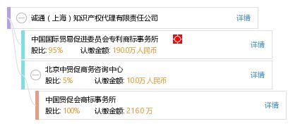 诚通 上海 知识产权代理有限责任公司