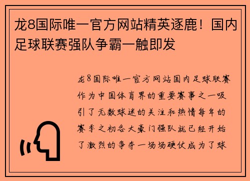 龙8国际唯一官方网站精英逐鹿！国内足球联赛强队争霸一触即发