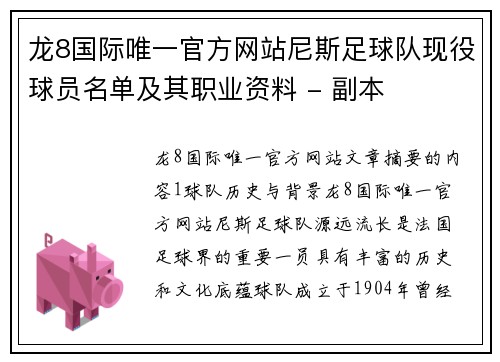 龙8国际唯一官方网站尼斯足球队现役球员名单及其职业资料 - 副本